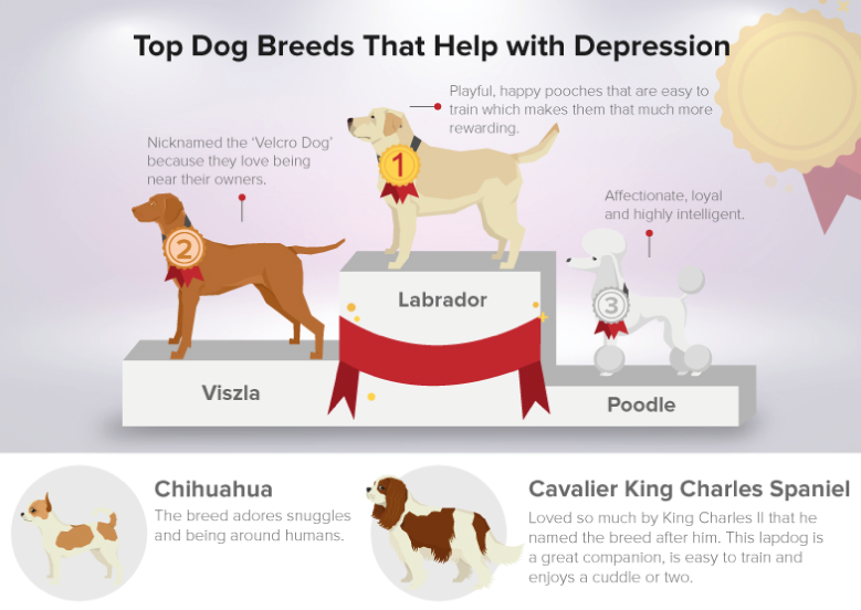 dogs that aid depression