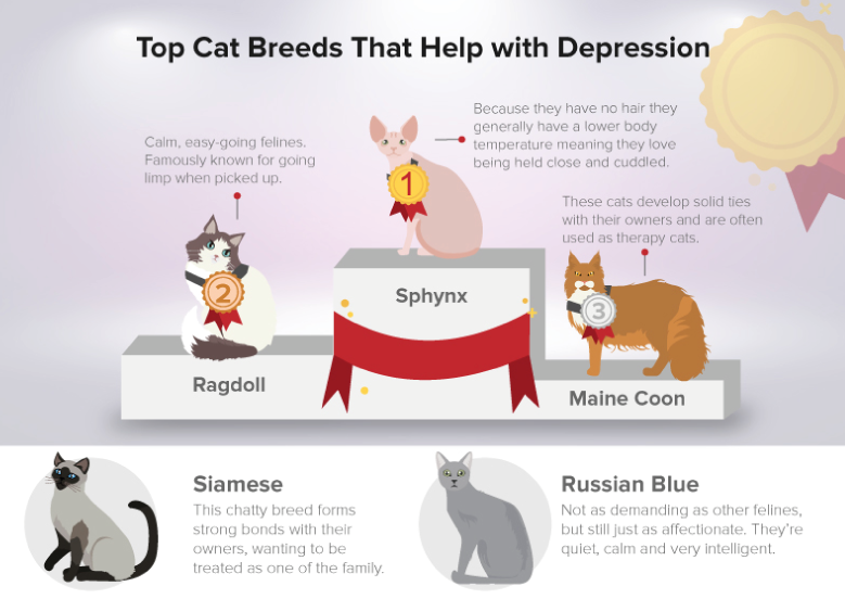 cats that aid depression