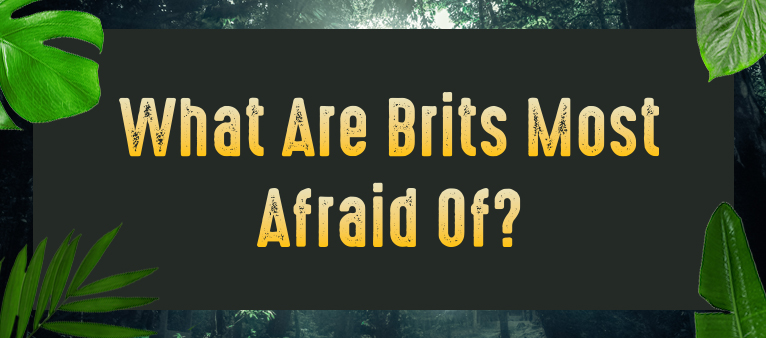 brits afraid of