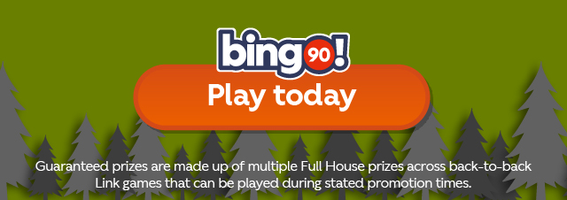bingo90