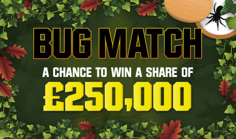 Bug Match