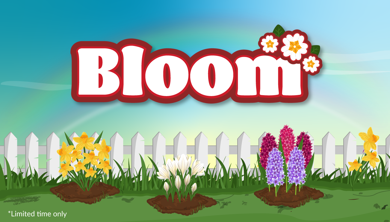 Bloom